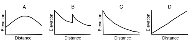 <strong>Which of the following graphs is typical for the profile of a river? </strong> A) A B) B C) C D) D