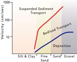 <strong>What does the associated graph indicate about a stream? </strong> A) Silt and clay are carried in suspension under most stream velocities. B) Sand and gravel are deposited at low velocities but transported at higher velocities. C) Sand is carried in suspension only at high velocities. D) As fast-moving water slows down, fine sand can switch from transport by suspension to the bed load. E) All of these.