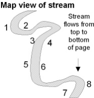 <strong>Where would be the relatively safest place to build a bridge across the stream in the accompanying figure? </strong> A) between points 1 and 2 B) between points 3 and 4 C) between points 5 and 6 D) between points 7 and 8