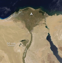 Feature A, formed where the Nile River encounters the Mediterranean Sea, is: