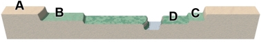 The accompanying figure shows a series of river terraces. Which of these terraces is the youngest?