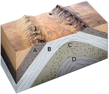 <strong>Which site would most likely contain oil in the subsurface?  </strong> A) A, a permeable sandstone B) B, an impermeable shale C) C, a permeable sandstone D) D, an impermeable shale <div style=padding-top: 35px> 