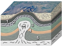 <strong>Which site in the accompanying figure is the most likely setting for an oil field?  </strong> A) shales at 1, 3, and 5 B) limestone at 2 C) sandstone at 4 D) both 2 and 3 E) both 2 and 4 <div style=padding-top: 35px> 