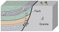 <strong>Which site in the accompanying figure is the most likely setting for an oil field?  </strong> A) limestone at A B) limestone at B C) shale at C D) sandstone at D E) granite at E <div style=padding-top: 35px> 