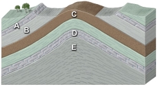 <strong>Which site in the accompanying cross section is the most likely setting for an oil field?  </strong> A) limestone at A B) shale at B C) sandstone at C D) limestone at D E) thick shale at E <div style=padding-top: 35px> 