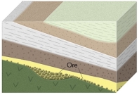 <strong>What is the main way that gold-bearing conglomerate beds, such as those in South Africa, form?  </strong> A) hot water flows along the margins of a caldera B) hot water circulates around a magma C) magma bakes nearby limestone and other reactive rocks D) pieces of gold are carried by streams and later buried <div style=padding-top: 35px> 