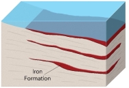 <strong>How did large iron deposits, called banded iron formations, form?  </strong> A) hot water circulates along the margins of a caldera B) groundwater mixes with seawater in the subsurface C) magma releases metal-rich fluids that replace reactive rocks D) an increase in oxygen in Earth's atmosphere caused seas to precipitate beds of iron-rich minerals <div style=padding-top: 35px> 