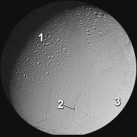 <strong>Which of these numbered areas on Enceladus, a moon of Jupiter, is probably the oldest?  </strong> A) 1, a heavily cratered terrain B) 2, tectonic belts that cut across the cratered terrain C) 3, less cratered plains D) there is not enough information to tell <div style=padding-top: 35px> 