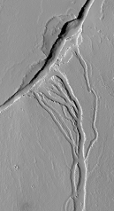 <strong>What do these channels indicate about past events on Mars?  </strong> A) there were explosive volcanic eruptions B) strong winds eroded into a series of volcanic layers C) the surface once had running water that eroded and deposited sediment D) glaciers once covered the entire planet <div style=padding-top: 35px> 