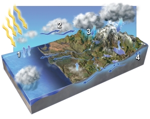 <strong>In which areas on the accompanying figure is condensation occurring?  </strong> A) 1 and 2 B) 2 and 3 C) 3 and 4 D) 1 and 3 E) 2 and 4 <div style=padding-top: 35px> 