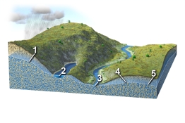 <strong>Each number on this figure refers to a location with groundwater in a subsurface material that is consistent in character across the entire figure. Of these locations, which one would have groundwater flowing to the left?  </strong> A) 1 B) 2 C) 3 D) 4 E) 5 <div style=padding-top: 35px> 