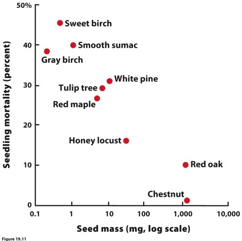 (Figure 19.11) Given the results in the figure, what might prevent a tree with large seeds, like a chestnut, from establishing in a forest with high densities of sweet birch seeds, an early-succession species?