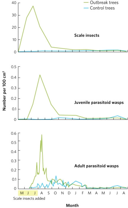 The graphs show the result of experiments involving the crop pest the California red scale insect Aonidiella aurantii and the parasitoid wasp Aphytis melinus. What did the results show about the populations of wasps and scale insects on control and outbreak trees? Is the parasitoid wasp a good biocontrol candidate for reducing scale insects?