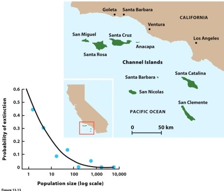   Based on the figure, which year produced an unusually high number of offspring?