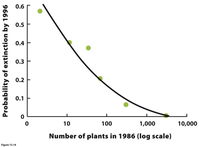 <strong> Which conclusion does the figure support?</strong> A) Recruitment of all species has been constant. B) Oak may have had increased recruitment since 1650. C) White pine may have had decreased recruitment since 1650. D) Eastern hemlock has had decreased recruitment since 1650.