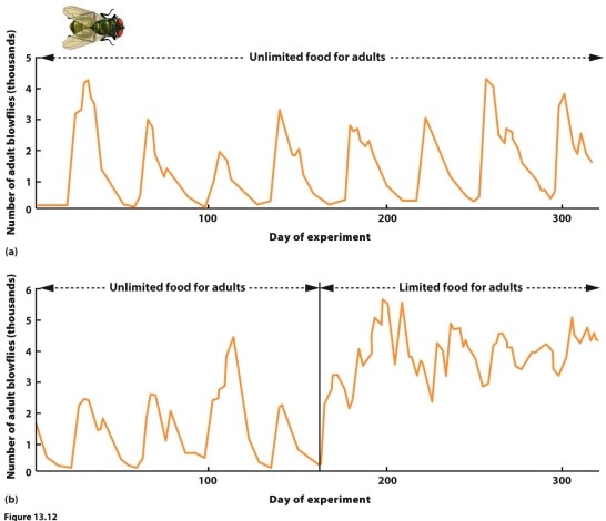There are two key predictions about how extinction probability and colonization probability affect metapopulation dynamics. List these predictions and explain how they are illustrated by this figure.