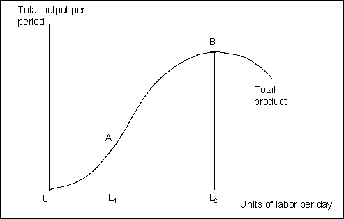<strong> (Exhibit: Total Product) Between points A and B, which of the following is (are) true?</strong> A) Total product is going down. B) The marginal product of labor is rising. C) The marginal product of labor is falling. D) Only A and C are true.