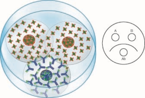   The antigen in well A is 