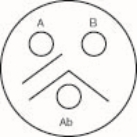 <strong> The antigen in well A is </strong> A)the same as the antigen in well B B)not at all like the antigen in well B C)partially the same as the antigen in well B D)the same as the antigen in well B and has an extra antigen in the well