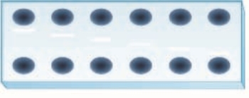 If the antibody's concentration is the same in all the wells at the bottom of the double diffusion gel precipitation reaction in the figure