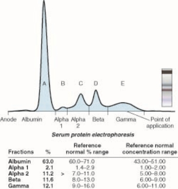 In which peak in the figure is the albumin?   