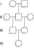 <strong>Given the following pedigree, what is the coefficient of inbreeding for individual IV-1? </strong> A)1/2 B)1/4 C)1/8 D)1/16 E)1/64