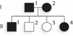 <strong>Given what you know of the inheritance pattern of SCD, is the following pedigree representative of a typical SCD pedigree? </strong> A)Yes; this is a pedigree showing dominant inheritance, and SCD exhibits dominant inheritance. B)Yes; this is a pedigree showing recessive inheritance, and SCD exhibits recessive inheritance. C)No; this is a pedigree showing dominant inheritance, and SCD exhibits recessive inheritance. D)No; this is a pedigree showing recessive inheritance, and SCD exhibits dominant inheritance. E)Another generation is needed before you can determine mode of inheritance.