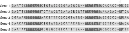 <strong>What is the consensus sequence for the Pribnow box from these sequences? </strong> A)TTGATA B)TATGAT C)TATTAT D)ACCA E)TAGTAT
