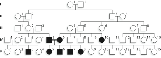 <strong>In the accompanying figure, the chance that individual III-2 is a heterozygous carrier is __________. </strong> A)0% B)25% C)50% D)75% E)100%