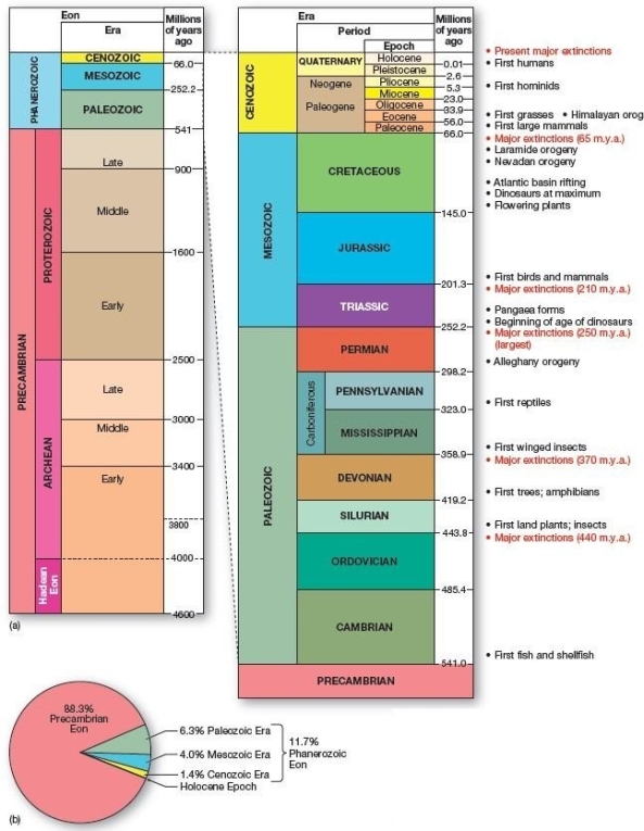   <B>Geologic time scale showing highlights of Earth's history</B>.(a)Dates appear in m.y.a.(millions of years ago).   The Precambrian Eon encompasses what percentage of Earth's total history?