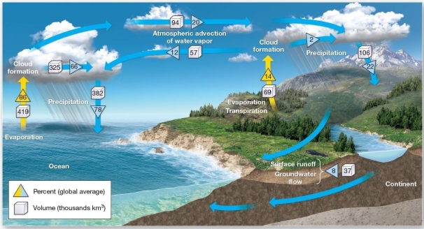   <B>The hydrologic cycle model.</B>Water travels endlessly through the hydrosphere,atmosphere,lithosphere,and biosphere.The triangles show global average values as percentages.Note that all evaporation (86% + 14% = 100%)equals all precipitation (78% + 22% = 100%)and that advection in the atmosphere is balanced by surface runoff,streamflow,and groundwater flow when all of Earth is considered.   What percentage of evaporation occurs over oceans?