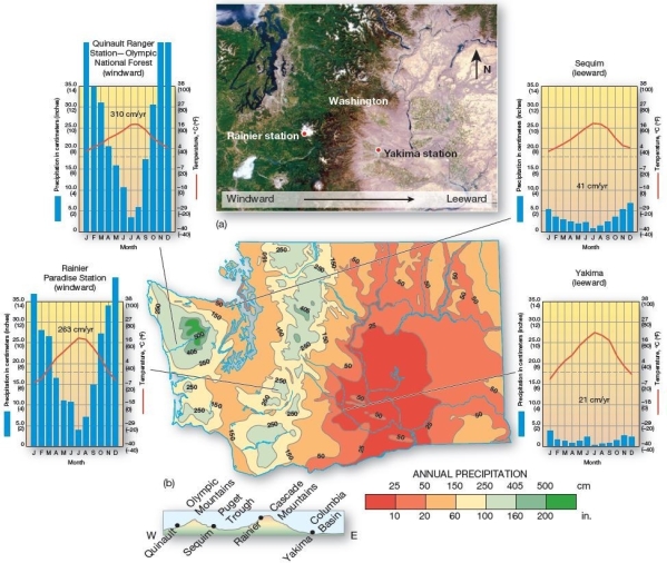 Orographic patterns in Washington State .Four stations in Washington provide examples of orographic effects: windward precipitation and leeward rain shadows.Isohyets (isolines of equal precipitation amounts)on the map indicate rainfall (in inches).Note each station on the landscape profile at bottom. In the state of Washington,the western portion of the state receives far more rainfall than the eastern portion of the state.What accounts for this stark contrast?