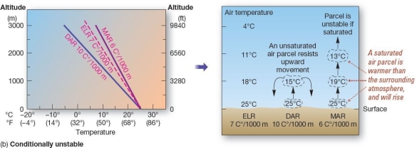 <strong> Stability-three examples.Specific examples of (a)unstable, (b)conditionally unstable,and (c)stable conditions in the lower atmosphere.Note the response to these three conditions in the air parcel on the right side of each diagram. When the environmental lapse rate is between the dry and moist adiabatic lapse rates,conditions are described as</strong> A)adiabatic. B)stability. C)conditionally unstable. D)unstable. E)conditionally stable.