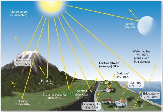<strong> Various albedo values. Which of the following has the highest albedo?</strong> A)forests B)asphalt C)dry,light sandy soils D)fresh snow E)the Moon