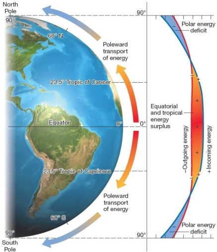 <strong>36) Energy budget by latitude.Low-latitude energy surpluses and high-latitude energy deficits produce the poleward transport of energy and mass in each hemisphere,through atmospheric circulation and ocean currents On the average,which of the following is true regarding the distribution of shortwave and longwave energy at Earth's surface by latitude?</strong> A)The equatorial zone is a region of net deficits. B)The polar regions are areas of net surpluses. C)The distribution shows an imbalance of net radiation from equator to poles. D)More energy is lost than is gained in the equatorial regions. E)The midlatitudes are the area of the largest surpluses throughout the year.