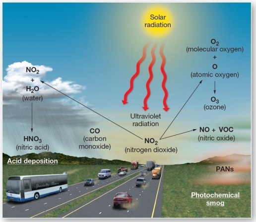 <strong> Protochemical reactions and pollutants from cars The main ingredients in photochemical smog are</strong> A)ozone,PAN,and nitric acid. B)PAN,nitric acid,and carbon monoxide. C)ozone,particulate matter,and carbon monoxide. D)PAN,carbon monoxide,and particulate matter. E)VOC and sulfur oxides.