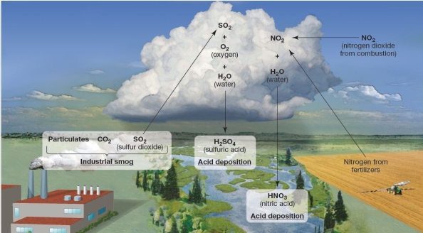 <strong> Chemical reactions and pollutants from industrial smog Industrial smog is</strong> A)composed primarily of O3 and PANs. B)principally associated with coal-burning industries and electrical generation. C)a relatively recent problem that developed during the latter half of this century. D)principally associated with transportation. E)unrelated to the phenomena of acid deposition.