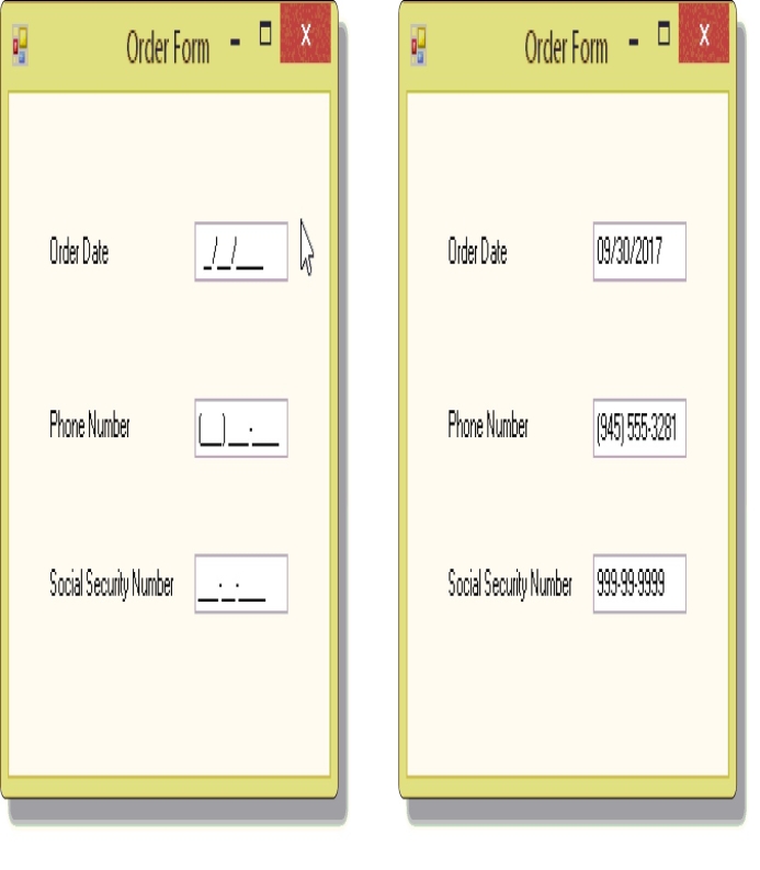  As illustrated in the accompanying figure,the term ____________________ refers to a predefined layout for the data a user enters.