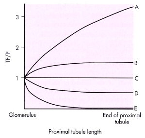 The following graph depicts the changes in tubular fluid concentrations of various substances along the length of the proximal tubule,plotted as the tubular fluid-to-plasma concentration ratio (TF/P).Thus the TF/P = 1 for a substance that is at the same concentration in the tubular fluid and plasma (for all substances that are freely filtered,TF/P = 1 at the glomerulus). Match the following substances to the appropriate TF/P curve. glucose
