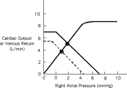 In the cardiac and vascular function curves shown below,the solid curves represent the control state: The shift,illustrated by the dashed line,is explained by: