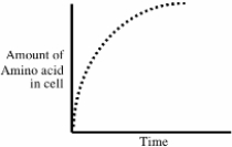 <strong>An experiment is done to measure the uptake of an amino acid into a cell.The following data are obtained: If Na<sup>+</sup> is removed from the extracellular bathing solution,or if a drug is added that prevents the cell from making adenosine triphosphate (ATP),the uptake of amino acid into the cell is markedly reduced.According to this information,which of the following mechanisms is probably responsible for the transport of the amino acid into the cell?</strong> A)Passive diffusion through the lipid bilayer B)Uniporter C)Transport ATPase D)Na<sup>+</sup> symporter E)Na<sup>+</sup> antiporter