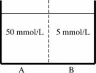 <strong>A membrane permeable by only Na<sup>+</sup> separates two compartments containing Na<sub>2</sub>SO<sub>4</sub>,shown as follows: Electrodes are placed in both compartments,and a voltage is applied (that of compartment A is held at 0 mV).What voltage applied to compartment B would result in no net movement of Na<sup>+</sup> across the membrane separating the compartments?</strong> A)-60 mV B)-30 mV C)0 mV D)+30 mV E)+60 mV