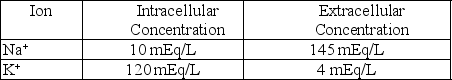 A cell contains the following membrane transporters: Na<sup>+</sup> channel K<sup>+</sup> channel Na<sup>+</sup>,K<sup>+</sup>-ATPase The resting membrane voltage of the cell is -80 mV,and the intracellular and extracellular ion concentrations are as follows: The cell is treated with a drug to inhibit the Na<sup>+</sup>,K<sup>+</sup>-ATPase.What would be the effect of this drug on the following parameters?