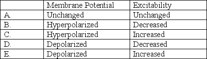 Reducing the extracellular [K<sup>+</sup>] would be expected to have which of the following effects on the resting membrane potential and on the excitability of ventricular myocytes?  <div style=padding-top: 35px> 