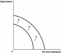 Use these production possibilities frontier PPF) curves, which compare the ancient production of agricultural products to art and literature, to answer the next questions. A. B. C. D. E. -Suppose a great plague wipes out half of the society's population. Which of the following graphs best depicts how this would affect the PPF?
