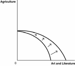 Use these production possibilities frontier PPF) curves, which compare the ancient production of agricultural products to art and literature, to answer the next questions. A. B. C. D. E. -Suppose a great plague wipes out half of the society's population. Which of the following graphs best depicts how this would affect the PPF?