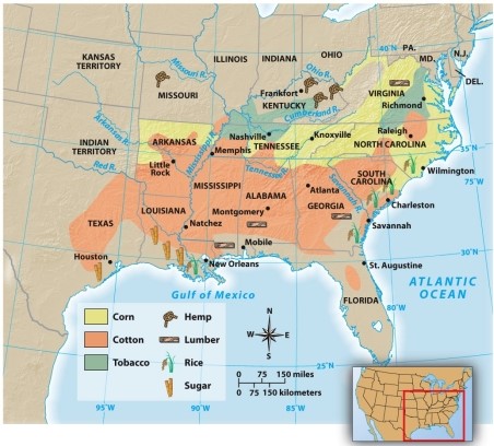 <strong>According to Map 13.2: The Agricultural Economy of the South,1860,which southern state grew both corn and cotton? </strong> A) Texas B) Arkansas C) Mississippi D) Kentucky