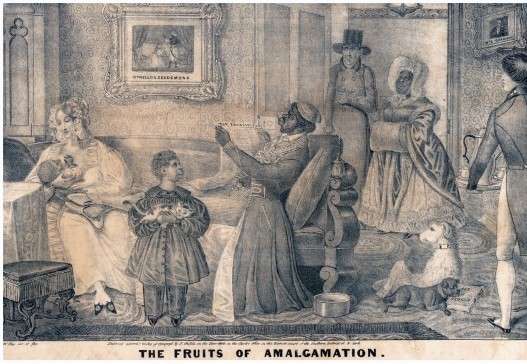 <strong>The lithograph The Fruits of Amalgamation portrays anxiety over what possible effect of emancipation? </strong> A) Free blacks taking white jobs B) Interracial marriage C) Revenge killing of white slave owners by free blacks D) The economic collapse of the South