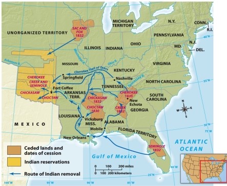 <strong>According to Map 11.3: Indian Removal and the Trail of Tears,which tribe was the last to cede its land? </strong> A) Cherokee B) Creek C) Seminole D) Choctaw