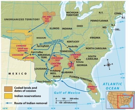 <strong>According to Map 11.3: Indian Removal and the Trail of Tears,in what direction did the Trail of Tears run? </strong> A) From north to south B) From east to west C) From south to north D) From west to east